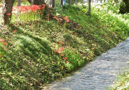 e0172950_2012153.jpg