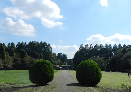 e0172950_20552054.jpg