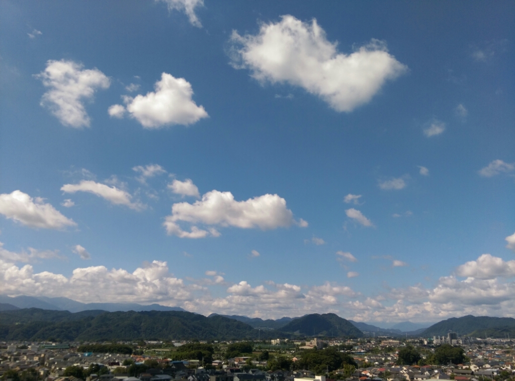 d0338355_11035571.jpg
