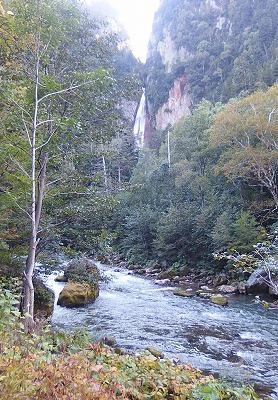 e0004756_2059776.jpg