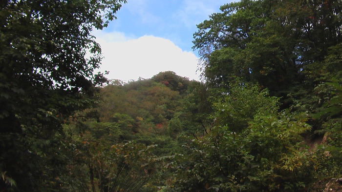 b0208961_15414524.jpg