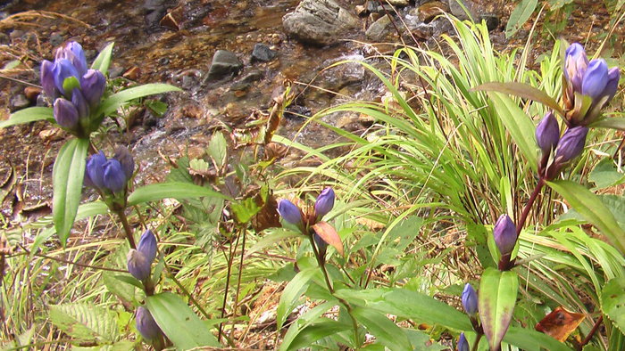 b0208961_15422156.jpg