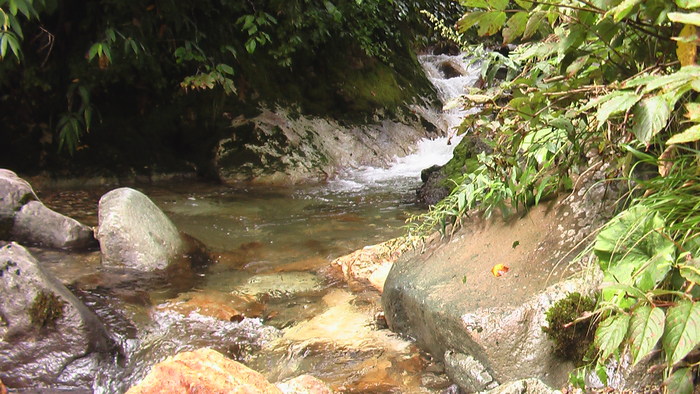 b0208961_15432323.jpg