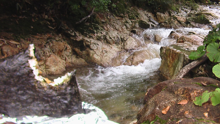 b0208961_15444043.jpg