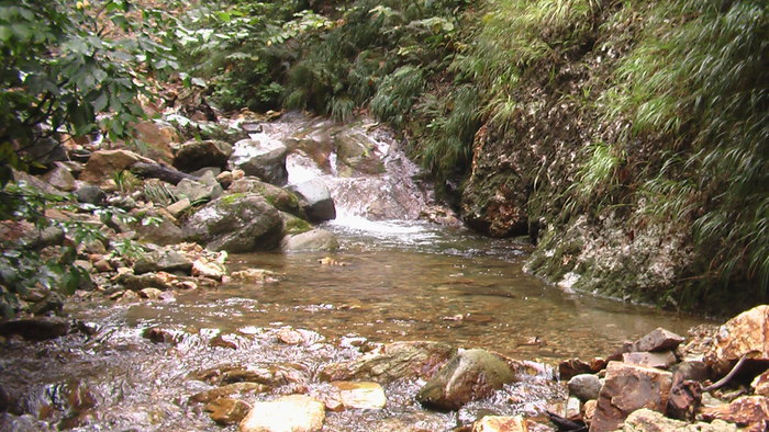 b0208961_1545450.jpg