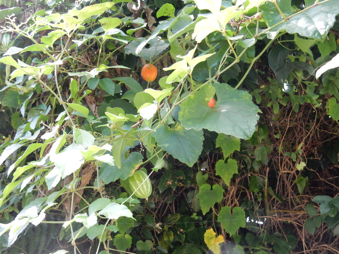 f0060461_14422389.jpg