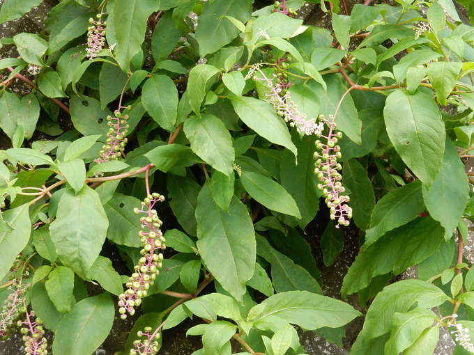 f0060461_14442668.jpg