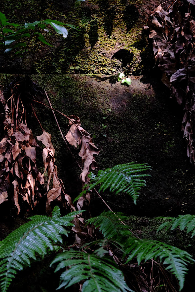 c0084666_19263421.jpg