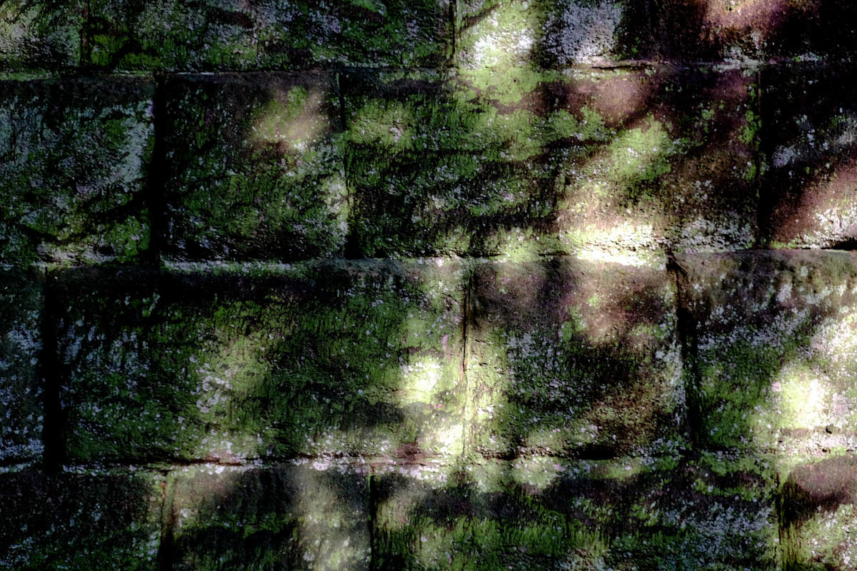 c0084666_19263486.jpg