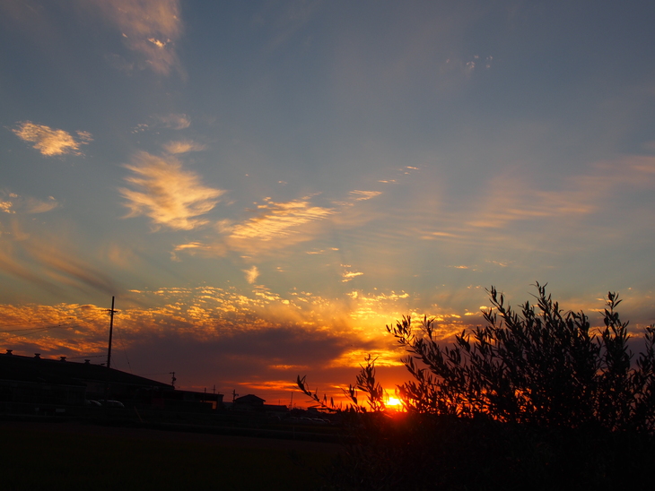 b0194267_21363842.jpg