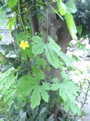 e0029472_23222174.jpg