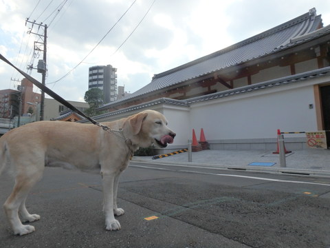 f0052277_2184015.jpg