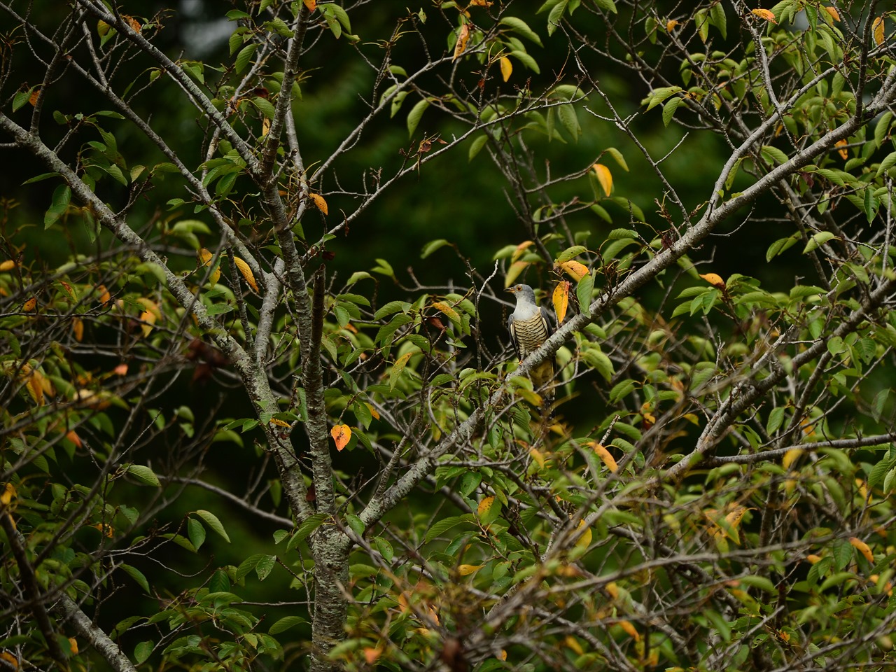 d0157380_13201756.jpg