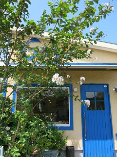 e0130185_11534530.jpg