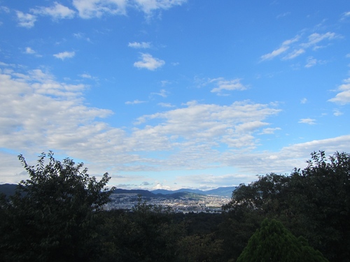 a0251786_10354267.jpg