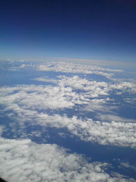 d0124895_1491777.jpg