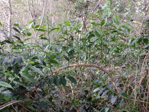 b0128901_12551446.jpg