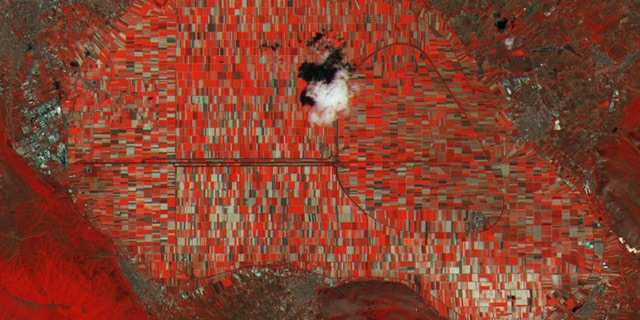 c0072801_20235226.jpg