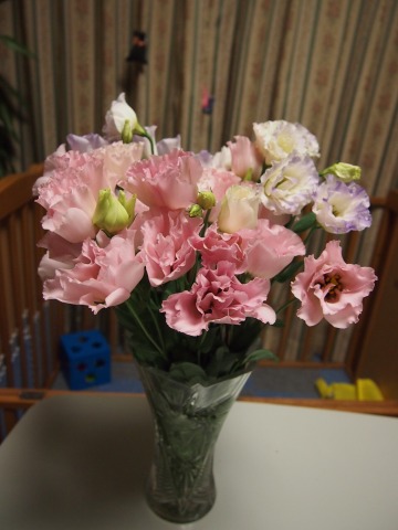 c0117007_21524973.jpg
