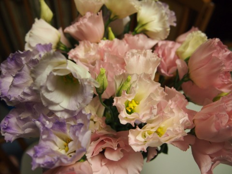 c0117007_215434.jpg