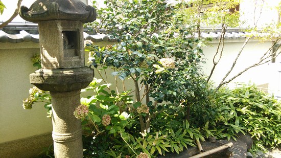 f0221708_23334958.jpg