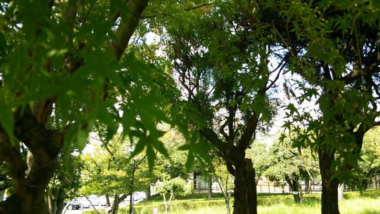 f0221708_23585193.jpg