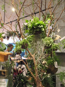 d0091909_9413636.jpg