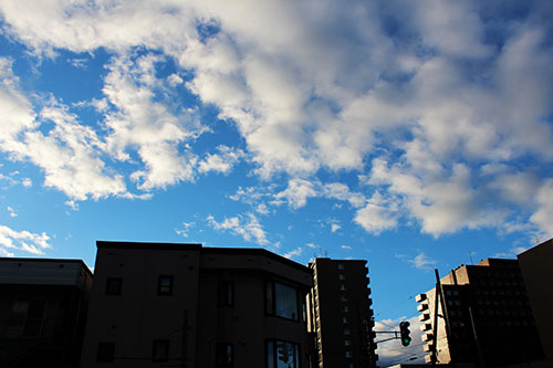 a0139912_7344041.jpg
