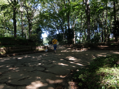 f0128821_2240393.jpg