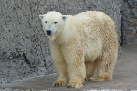 f0344626_23441711.jpg