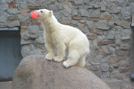 f0344626_23465030.jpg