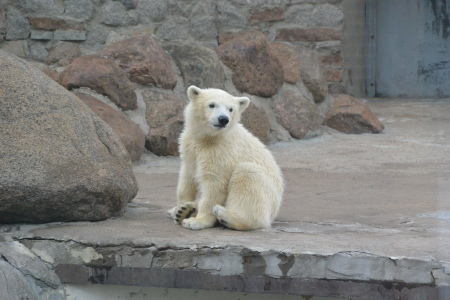 f0344626_23470019.jpg