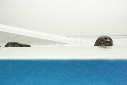 f0078127_21274550.jpg