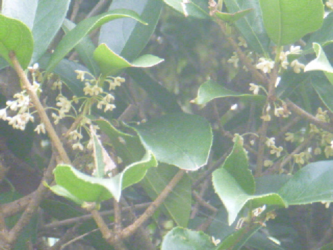 b0246036_14101925.jpg