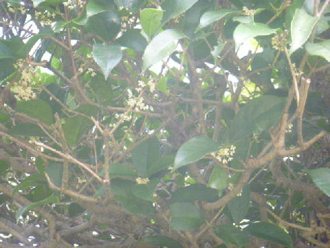 b0246036_14113061.jpg