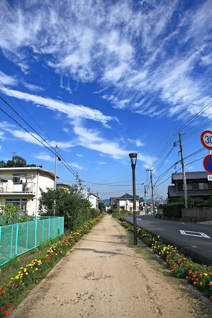 a0242438_191028.jpg