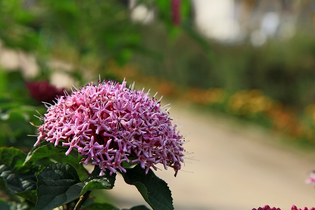 a0242438_19103684.jpg