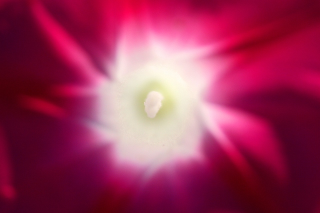 a0242438_1911031.jpg