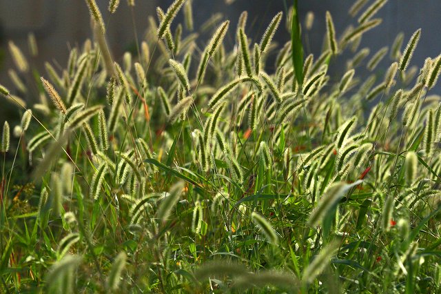 a0242438_1952230.jpg