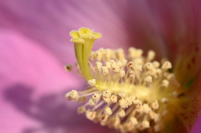 a0242438_196218.jpg