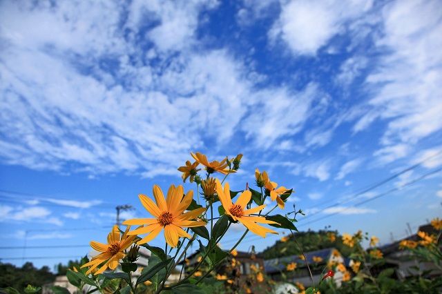 a0242438_1962628.jpg