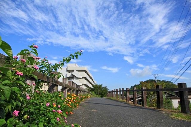 a0242438_1964676.jpg