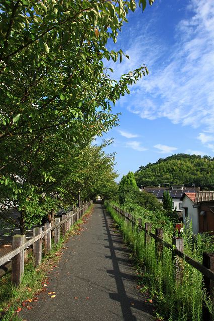 a0242438_197201.jpg