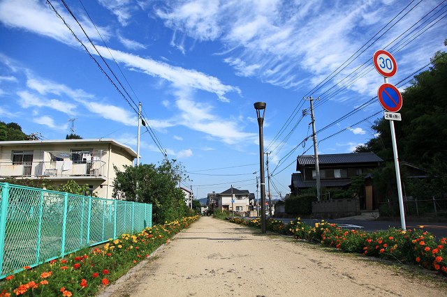 a0242438_1994353.jpg