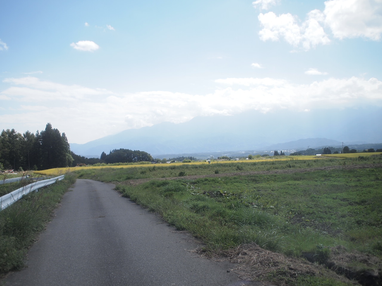 a0299945_21083321.jpg