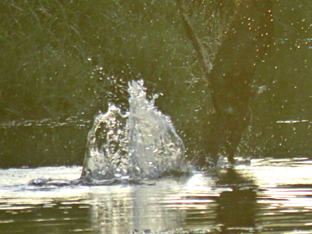 f0214649_9391434.jpg
