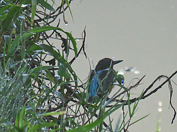 f0214649_9404655.jpg