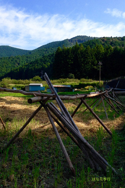 d0036450_1951240.jpg