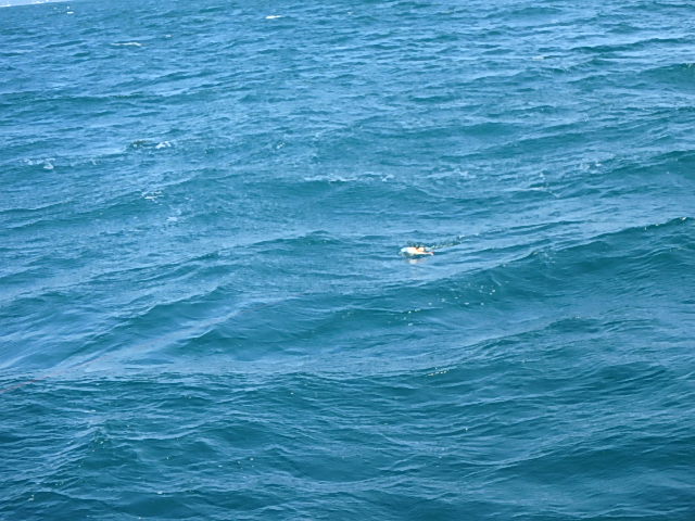 a0248152_18285442.jpg