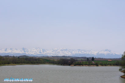 d0340565_20451201.jpg